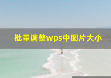 批量调整wps中图片大小