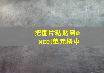 把图片粘贴到excel单元格中