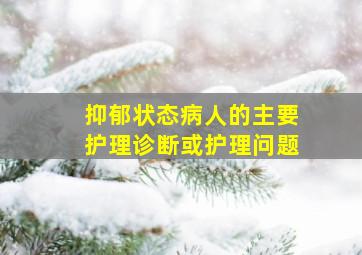 抑郁状态病人的主要护理诊断或护理问题