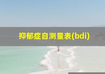 抑郁症自测量表(bdi)