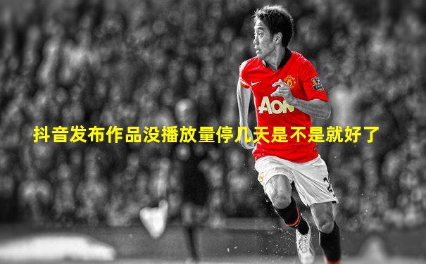 抖音发布作品没播放量停几天是不是就好了