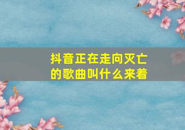 抖音正在走向灭亡的歌曲叫什么来着