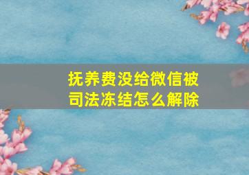 抚养费没给微信被司法冻结怎么解除