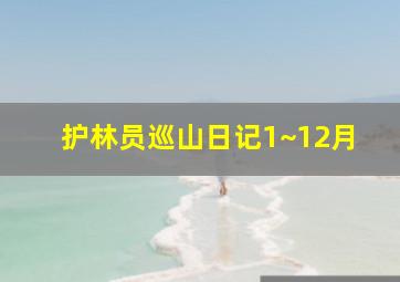 护林员巡山日记1~12月