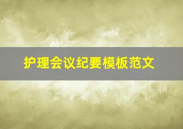 护理会议纪要模板范文