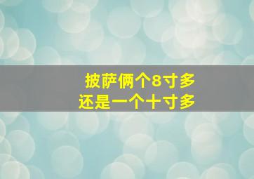 披萨俩个8寸多还是一个十寸多