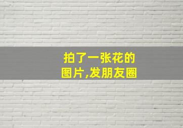 拍了一张花的图片,发朋友圈