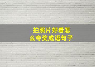 拍照片好看怎么夸奖成语句子