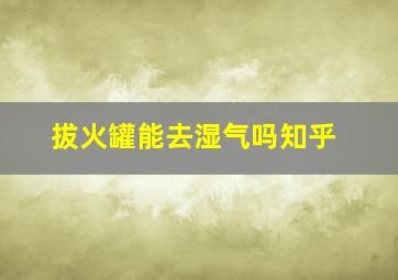 拔火罐能去湿气吗知乎