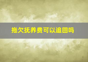 拖欠抚养费可以追回吗