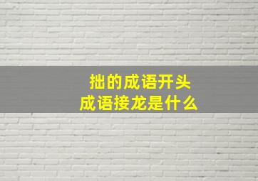 拙的成语开头成语接龙是什么