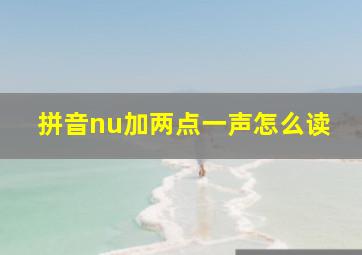 拼音nu加两点一声怎么读