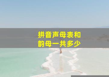 拼音声母表和韵母一共多少