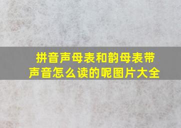 拼音声母表和韵母表带声音怎么读的呢图片大全