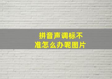 拼音声调标不准怎么办呢图片