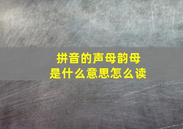 拼音的声母韵母是什么意思怎么读