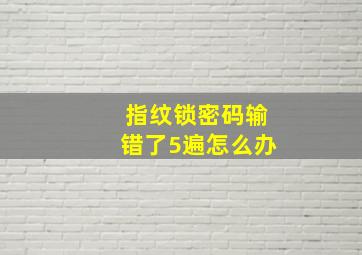 指纹锁密码输错了5遍怎么办