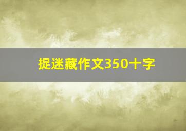 捉迷藏作文350十字