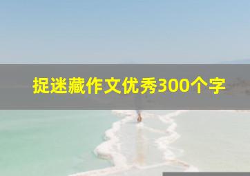 捉迷藏作文优秀300个字