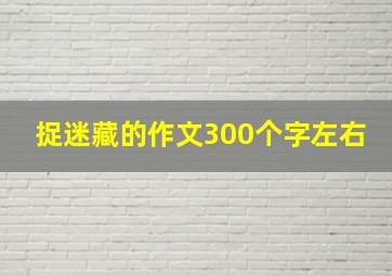 捉迷藏的作文300个字左右