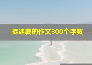 捉迷藏的作文300个字数