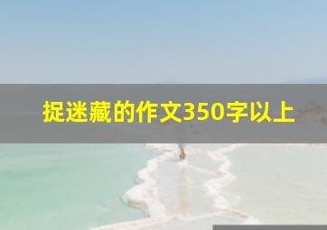 捉迷藏的作文350字以上