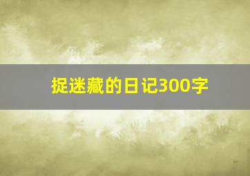 捉迷藏的日记300字