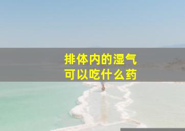 排体内的湿气可以吃什么药