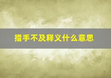 措手不及释义什么意思