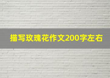 描写玫瑰花作文200字左右