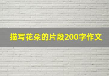 描写花朵的片段200字作文