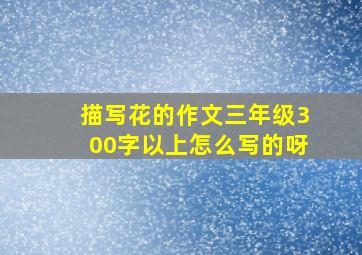 描写花的作文三年级300字以上怎么写的呀