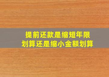 提前还款是缩短年限划算还是缩小金额划算