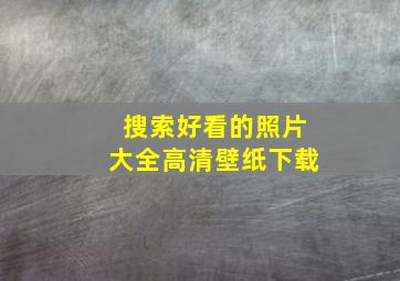 搜索好看的照片大全高清壁纸下载