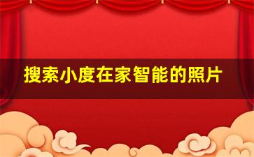 搜索小度在家智能的照片