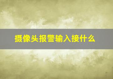 摄像头报警输入接什么