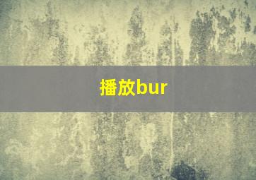 播放bur