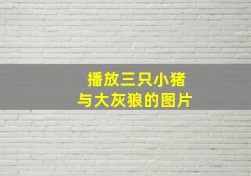 播放三只小猪与大灰狼的图片