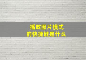 播放图片模式的快捷键是什么