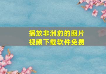 播放非洲豹的图片视频下载软件免费