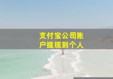 支付宝公司账户提现到个人