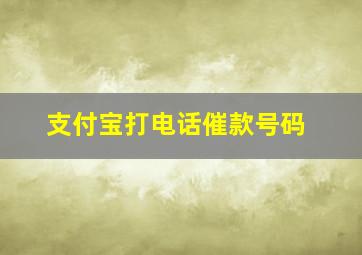 支付宝打电话催款号码