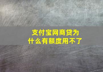 支付宝网商贷为什么有额度用不了