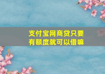 支付宝网商贷只要有额度就可以借嘛