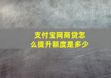 支付宝网商贷怎么提升额度是多少