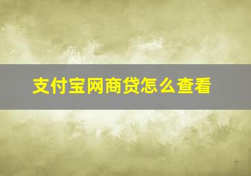 支付宝网商贷怎么查看