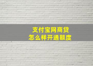 支付宝网商贷怎么样开通额度