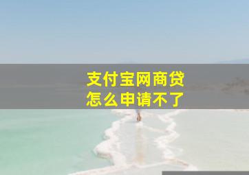 支付宝网商贷怎么申请不了