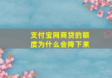 支付宝网商贷的额度为什么会降下来