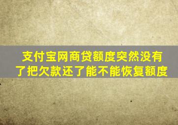 支付宝网商贷额度突然没有了把欠款还了能不能恢复额度